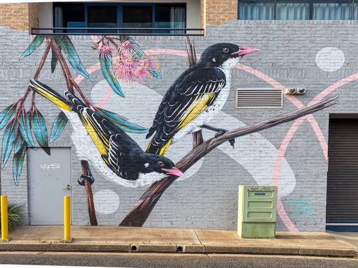 Painted Honeyeaters