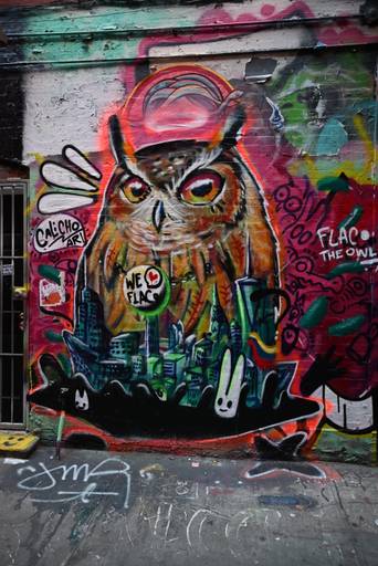 Flaco the owl