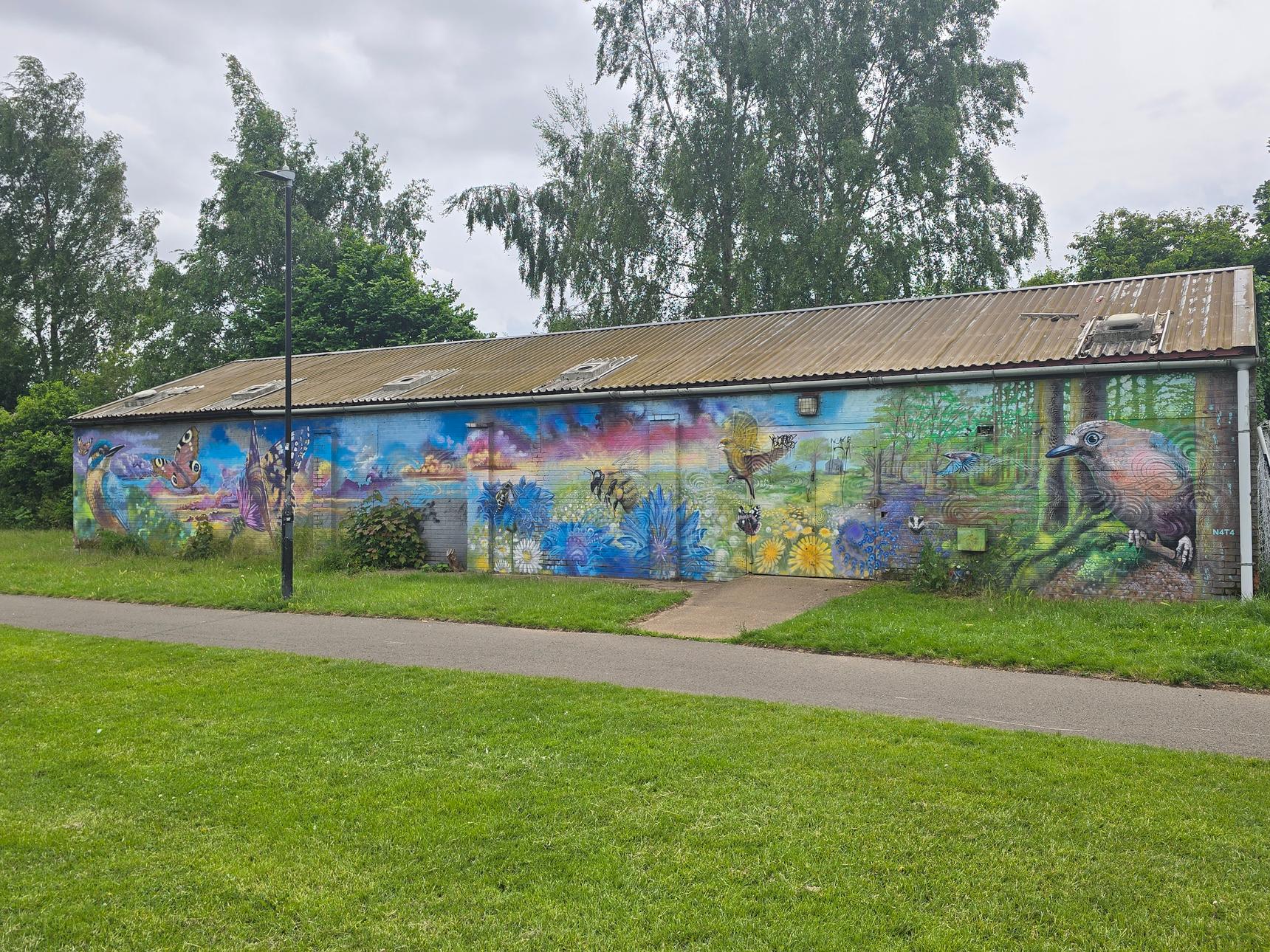 N4T4—Morgan Hehir Wall