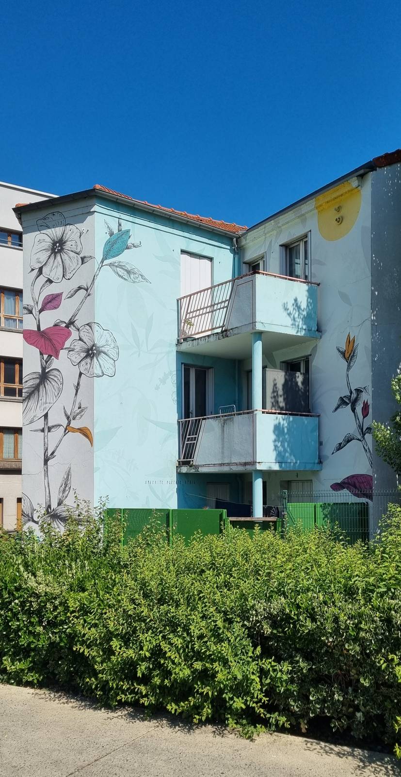 Fabio Petani—Petunia