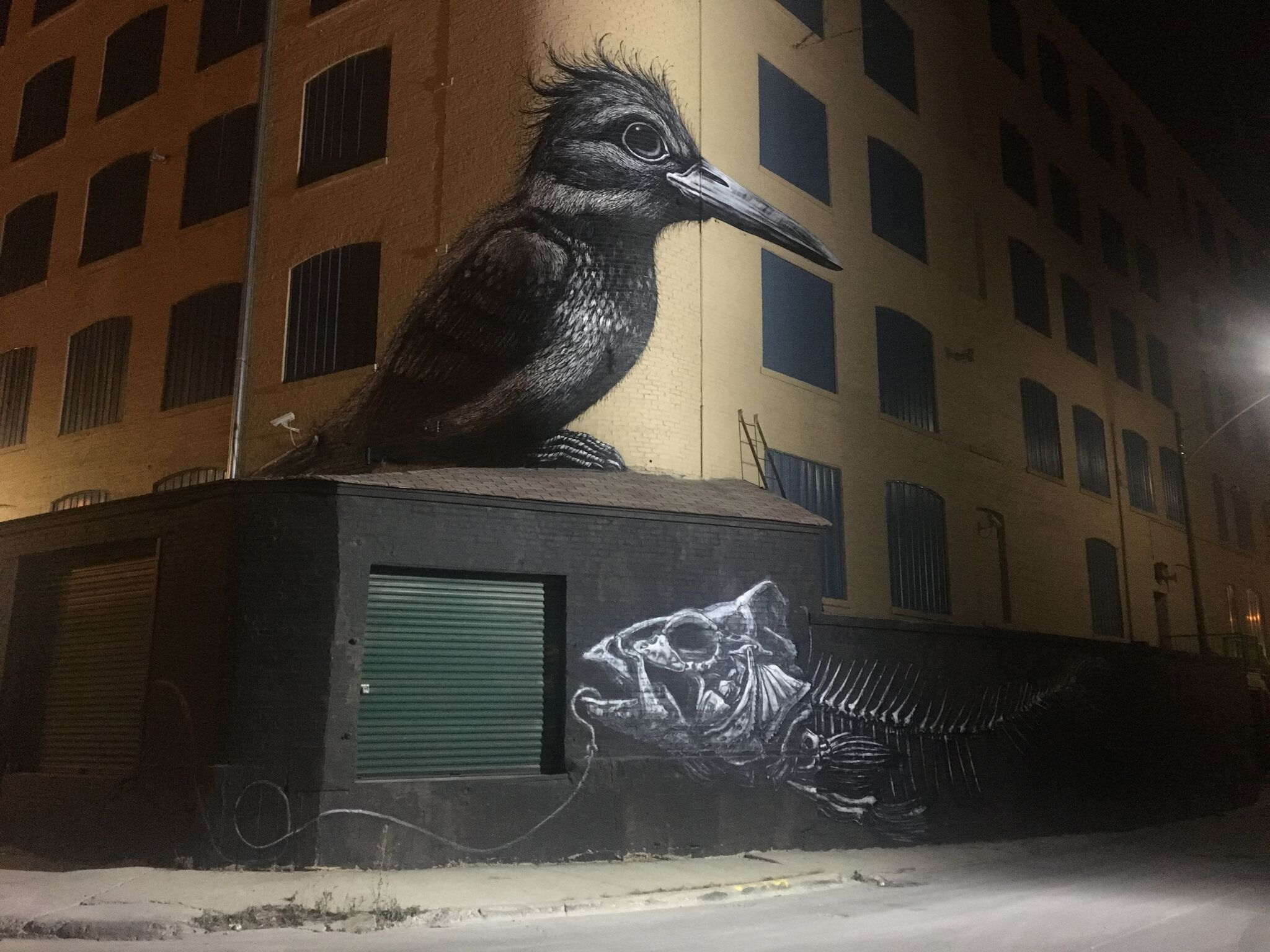 Roa&mdash;ROA