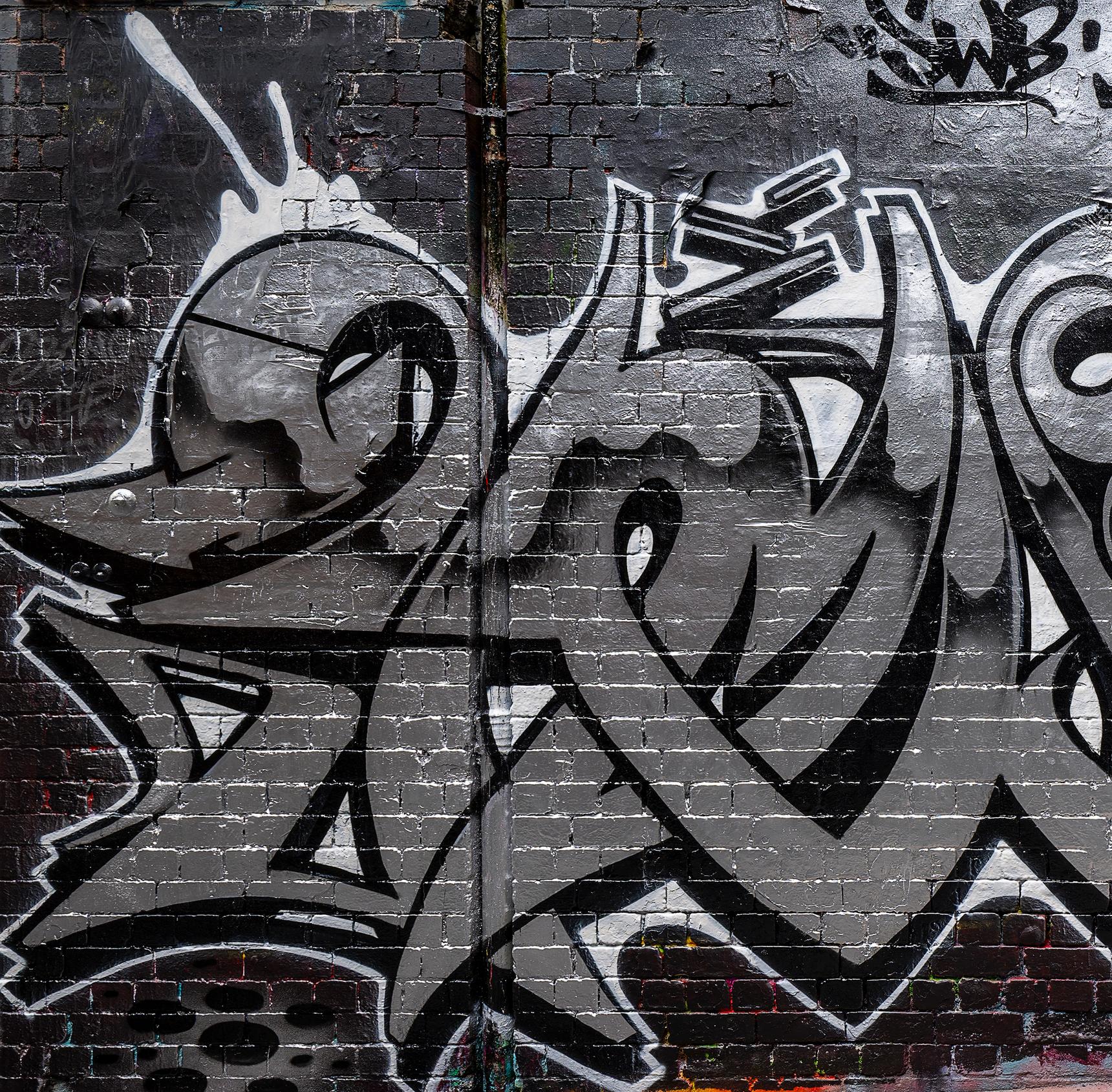 Amuse—Silver and Black