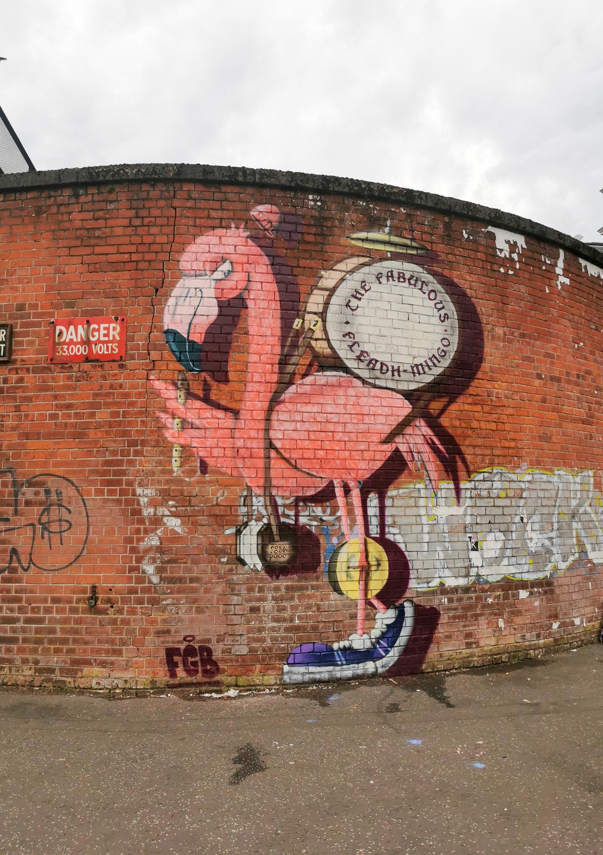 FGB—The Fabulous Fleadh-Mingo