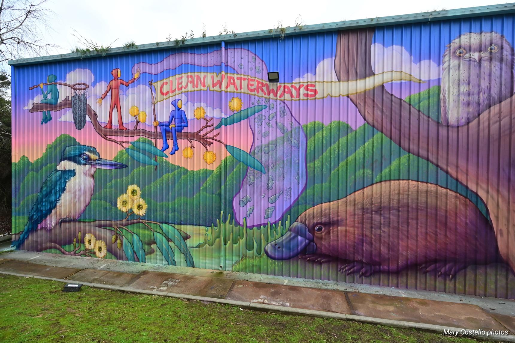 Hayden Dewar—Clean Waterways