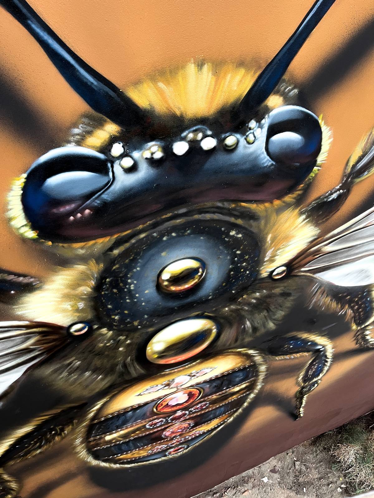 Häcko Crâne—Queen Bee