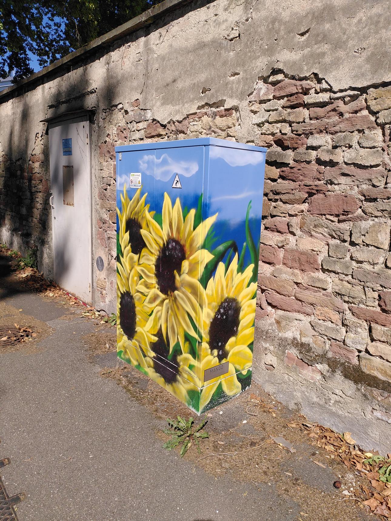 Mango Mangone—Sunflowers