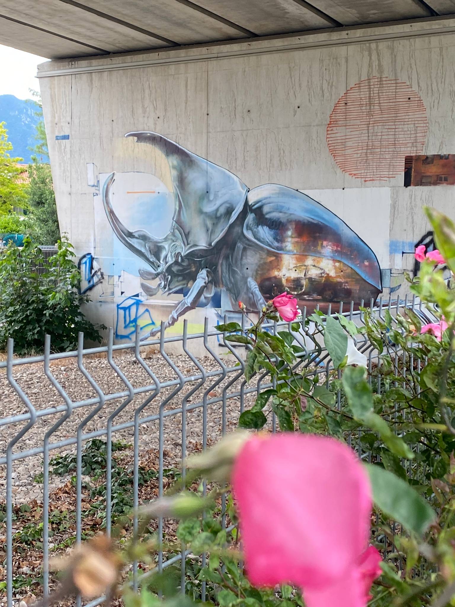 Telmo Miel, Sebas Velasco&mdash;Rhino Beetle