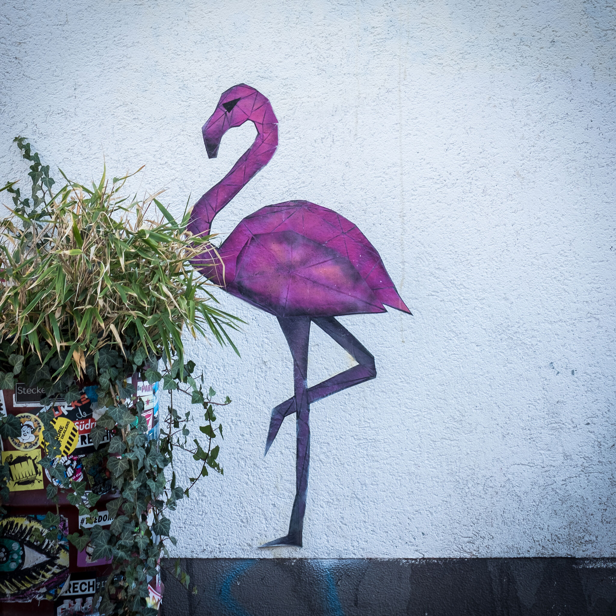 Metraeda&mdash;Flamingo