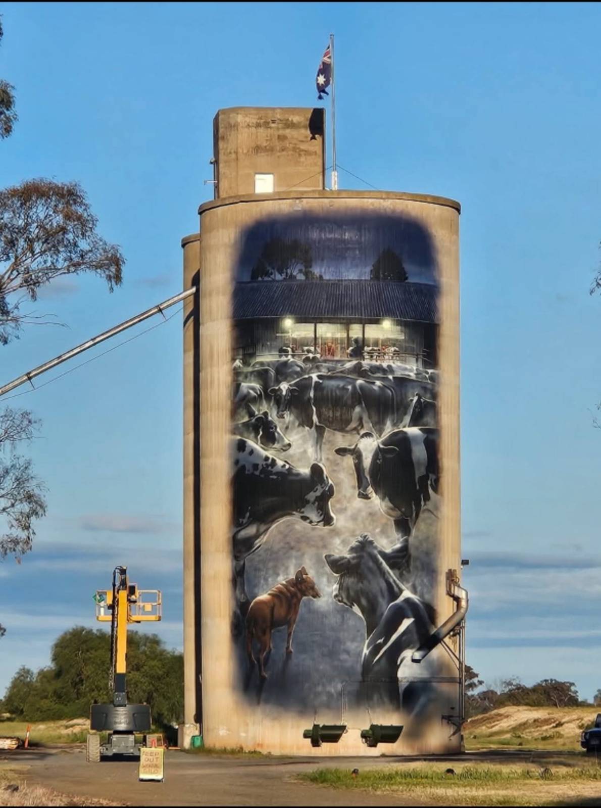 Tim Bowtell—Waaia Silo Art - Silo 1