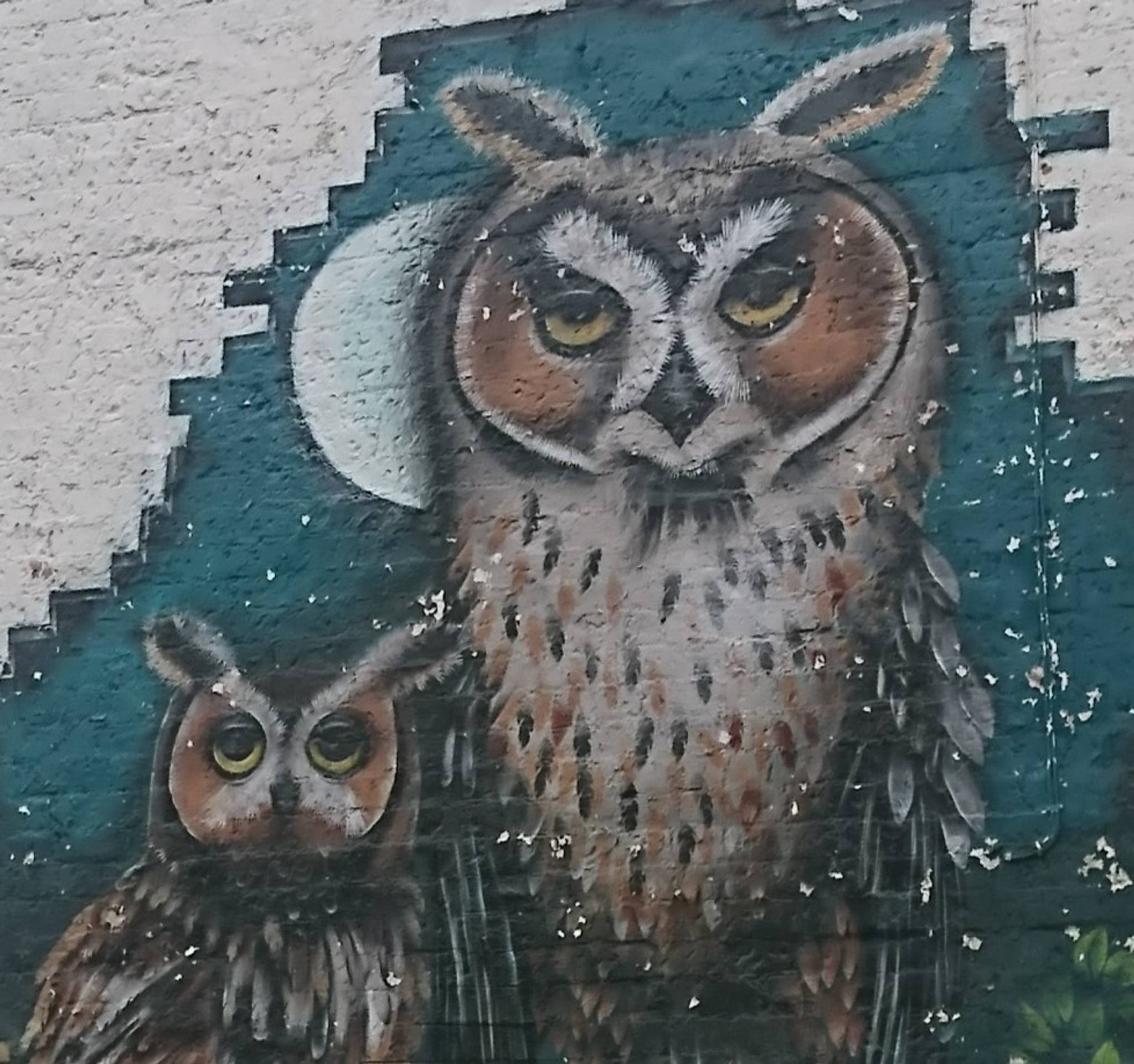 Laura Decorum&mdash;Owls