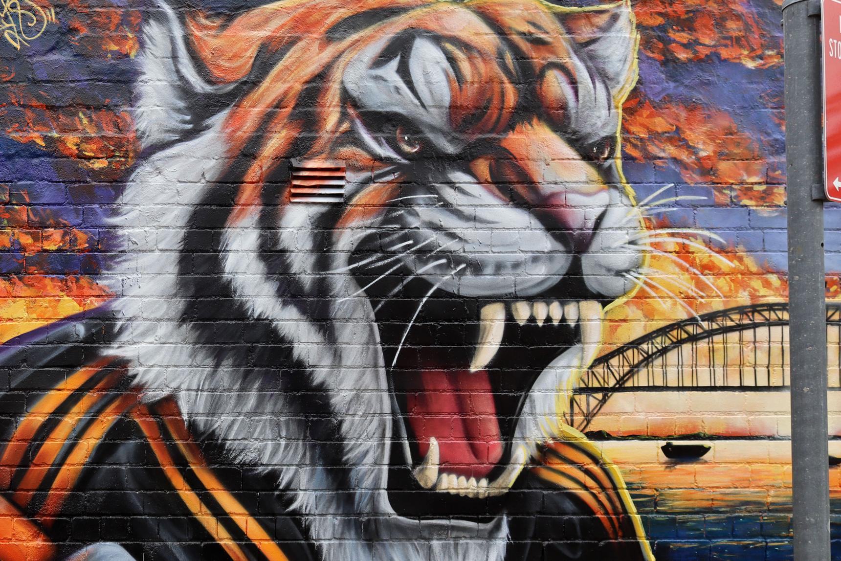 Smackas—Tiger Town