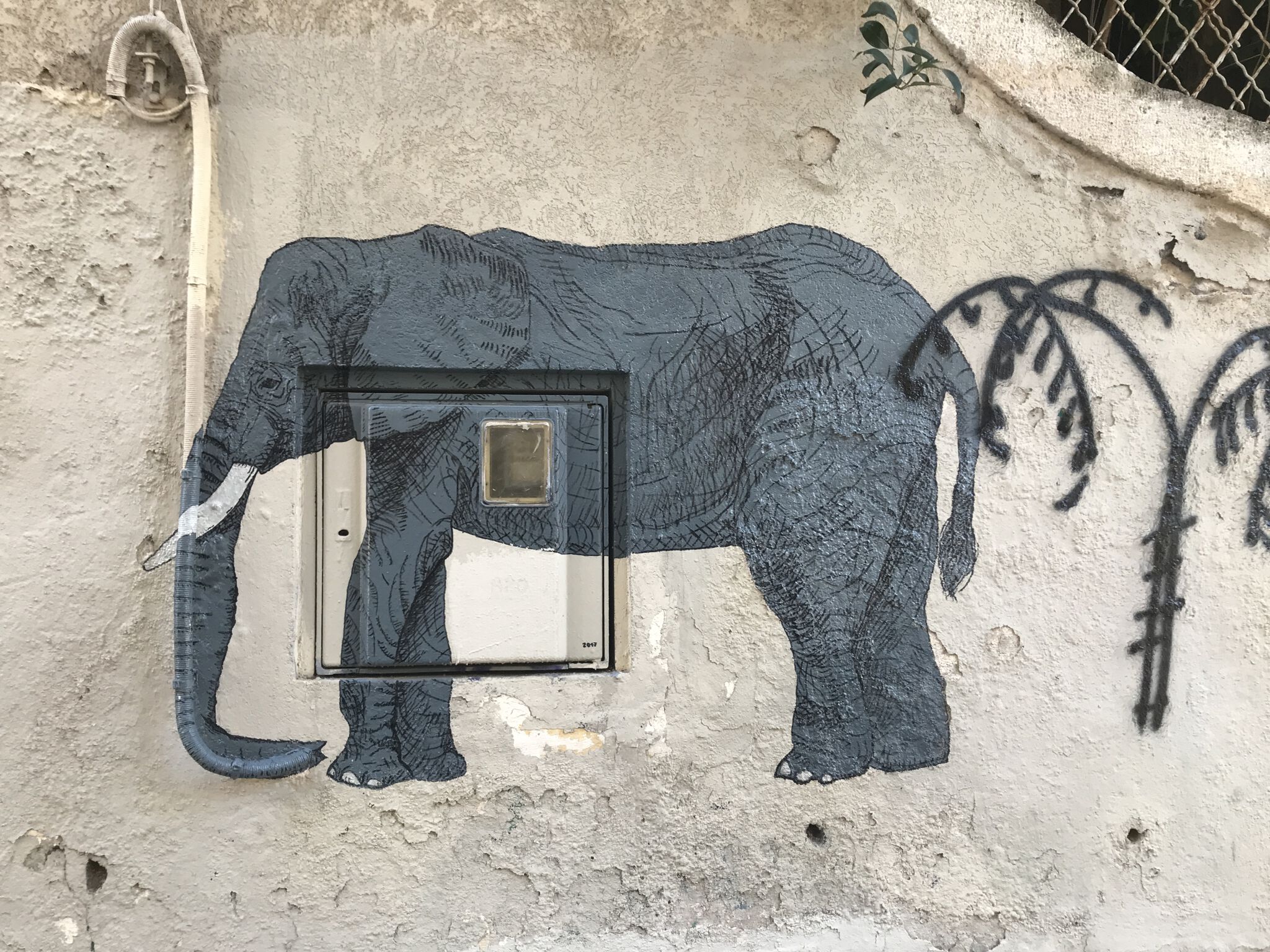 Unknown - Montpellier&mdash;Unknown elephant