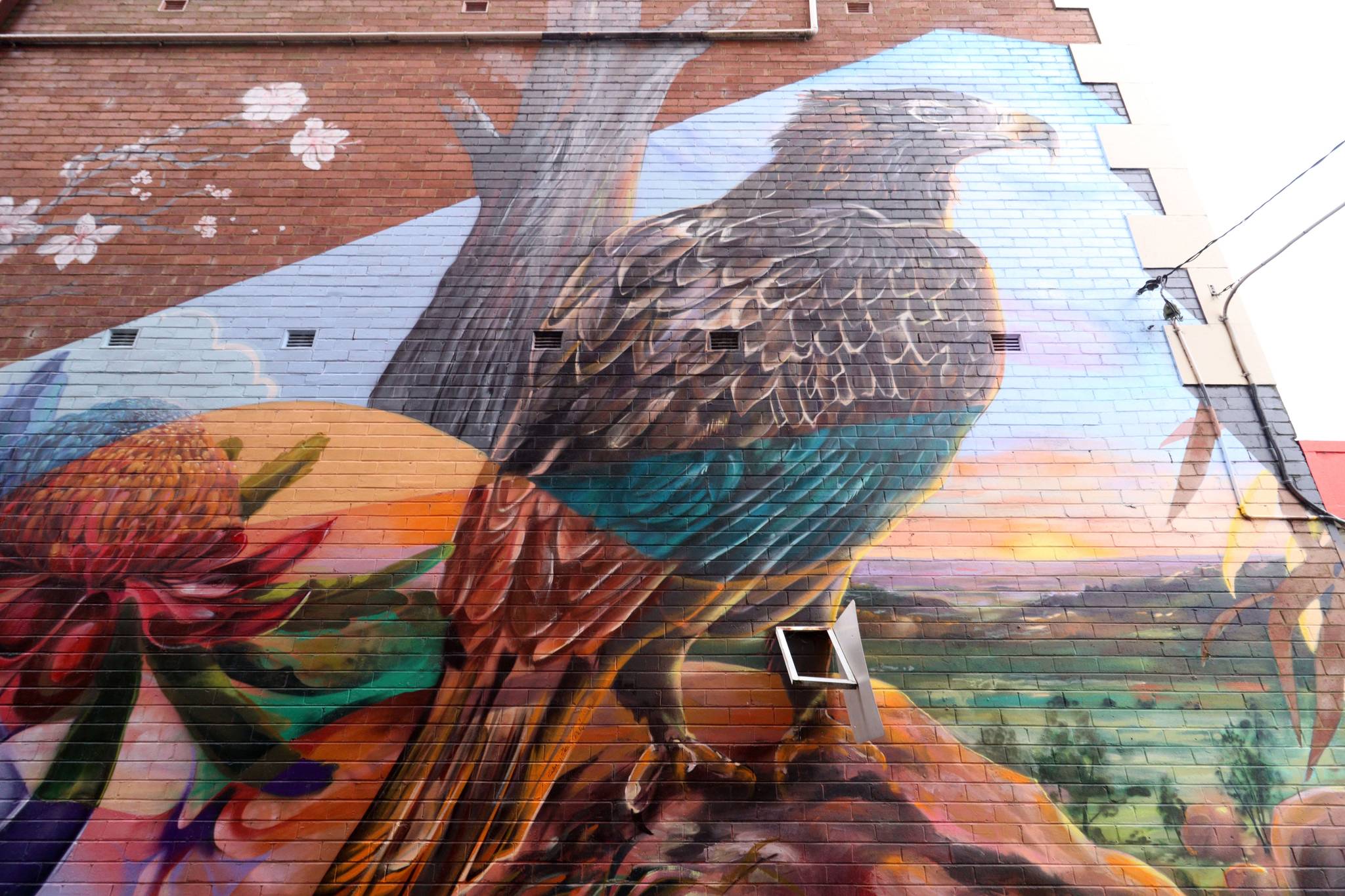 The Brightsiders, The Zookeeper, Drapl&mdash;Cowra Laneway Mural