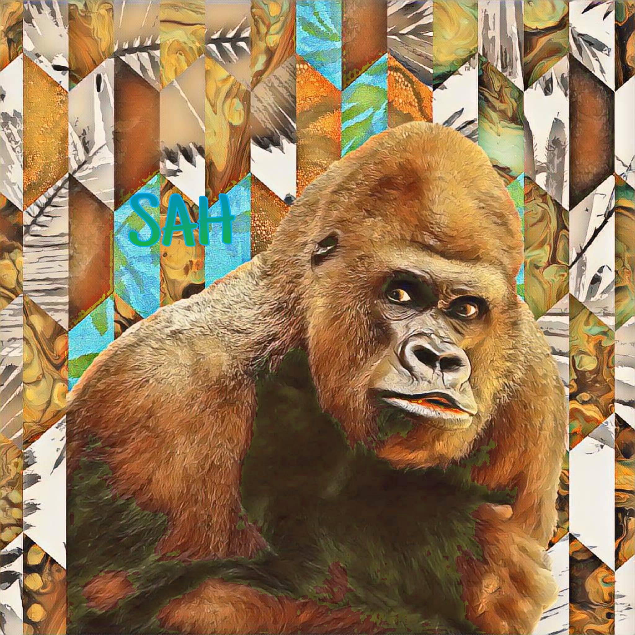 SAH&mdash;The Animal Series 