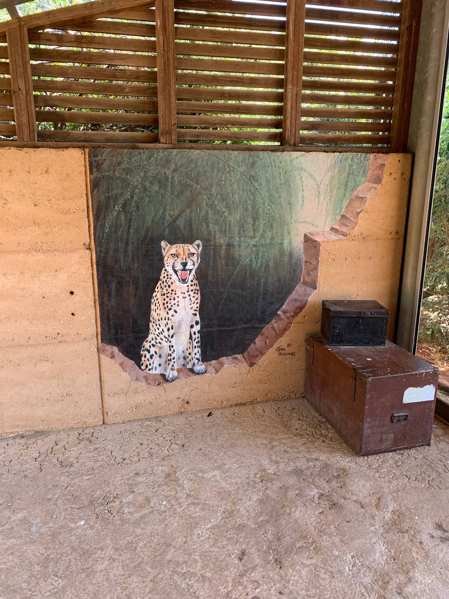 Jimmi Buscombe&mdash;Kulinda the Cheetah