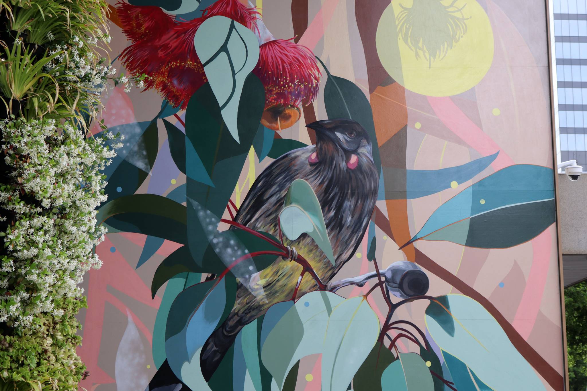 Nicole Black, Chris Dallwitz&mdash;Red Wattlebird and Leaves