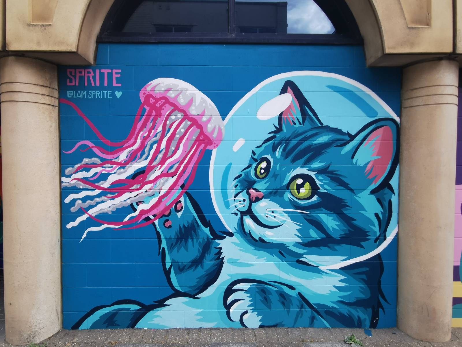 Sprite—Cat and Jellyfish