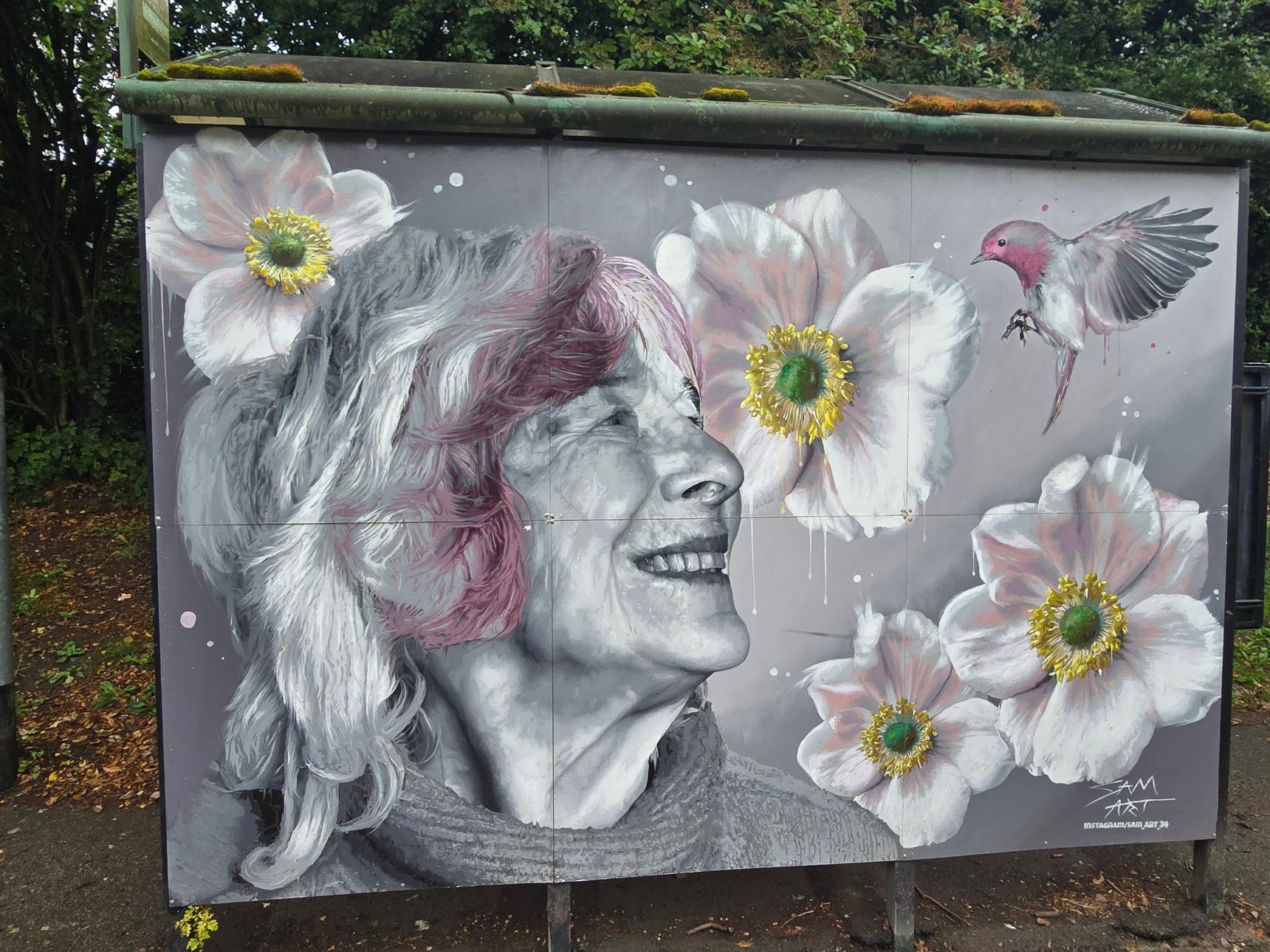 Sam Collins—Bus Shelter - Untitled