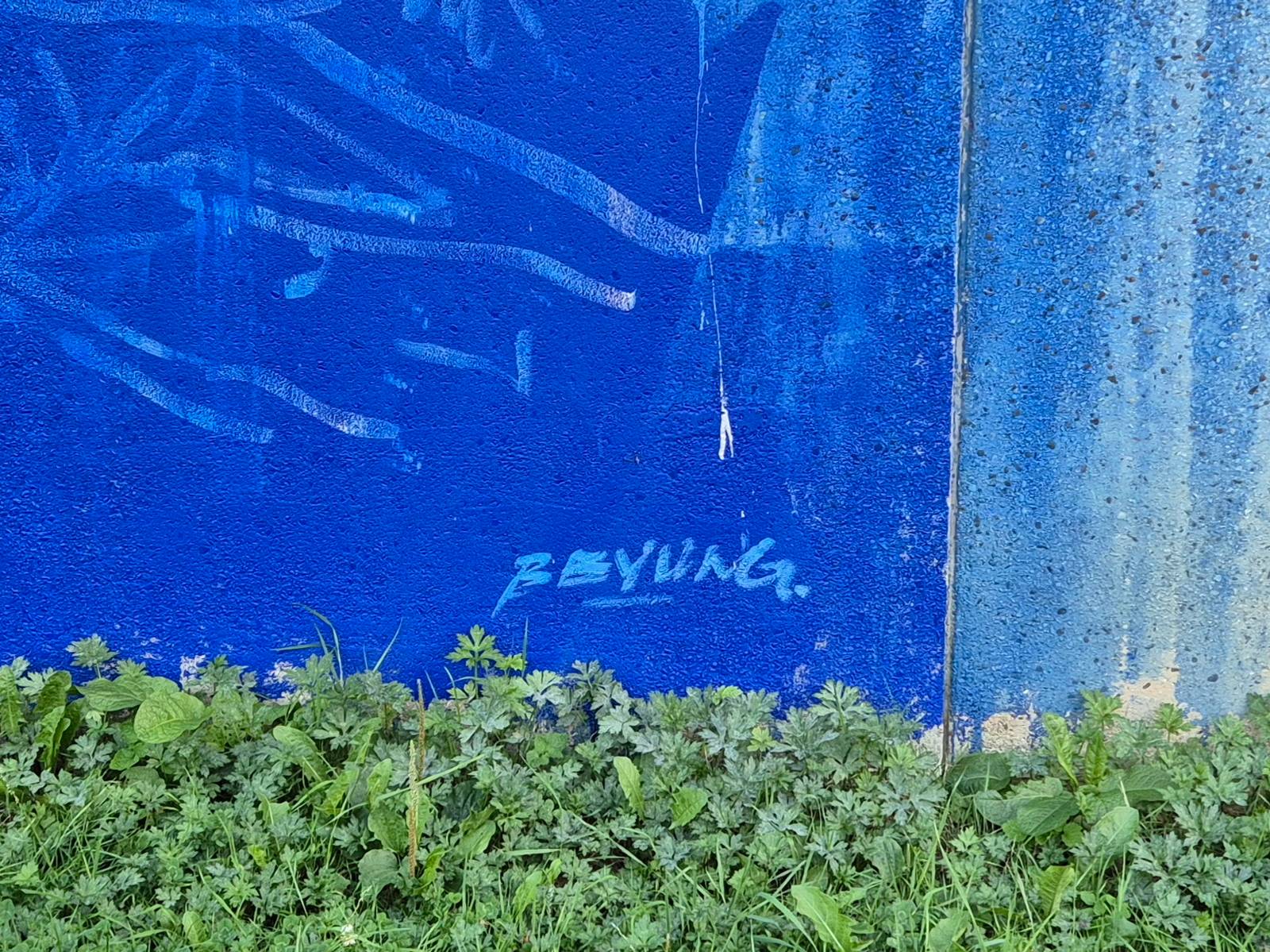 Bryan Beyung, Hera of Herakut—'SOME FLOWERS ONLY BLOOM IN COMPANY'