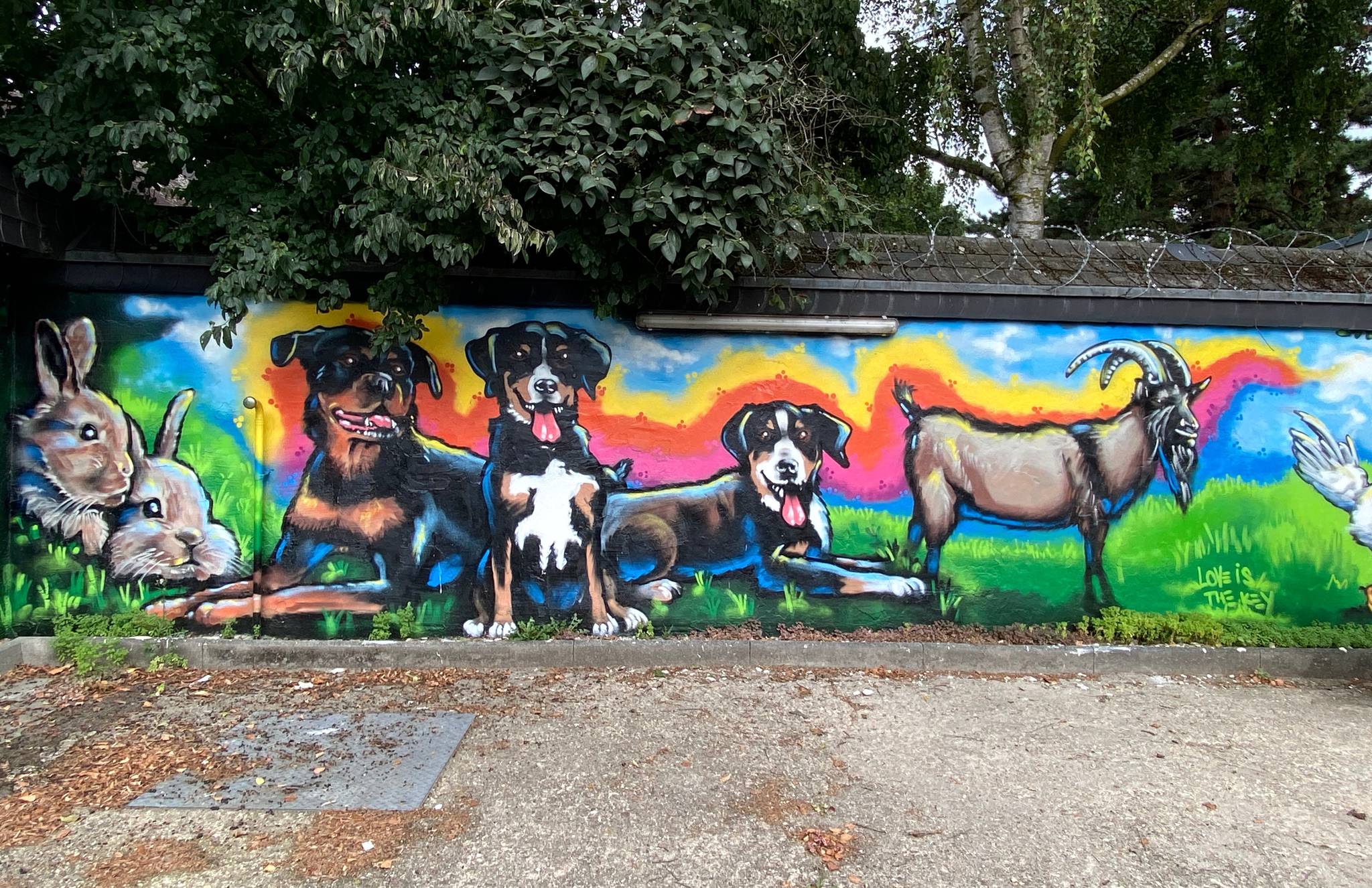 Unknown - Cologne&mdash;animal shelter