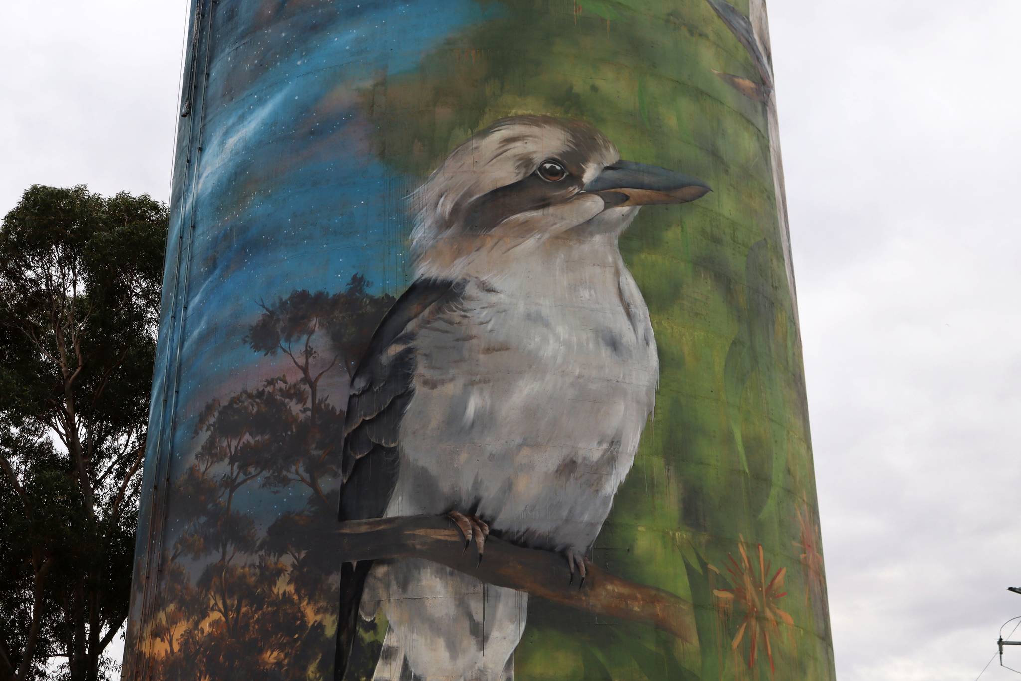 Cam Scale&mdash;Deniliquin Water Tower Mural