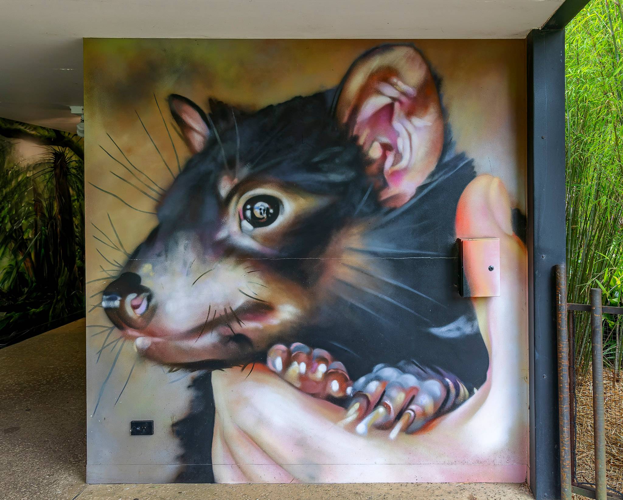 Dvate, Andrew J Bourke&mdash;Carnivores Trail (Tasmanian Devil)