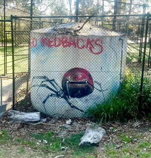 Redback