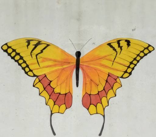 Butterfly Subway