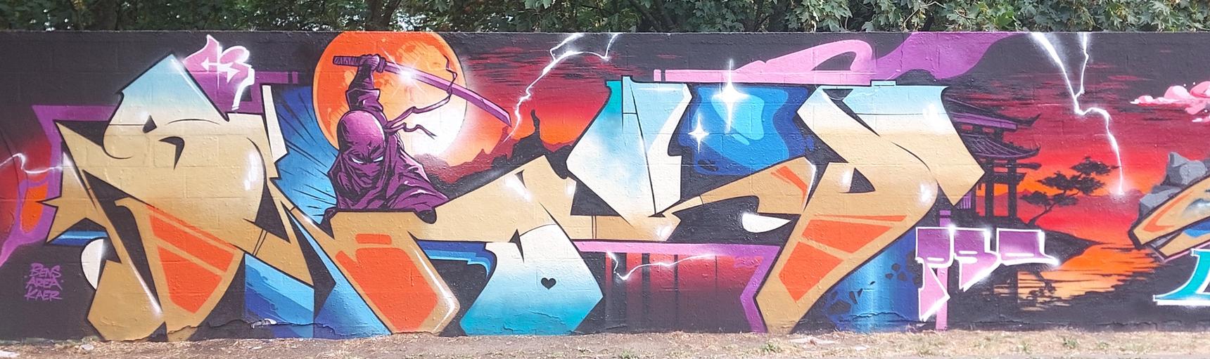 —Legal Wall De Cointe