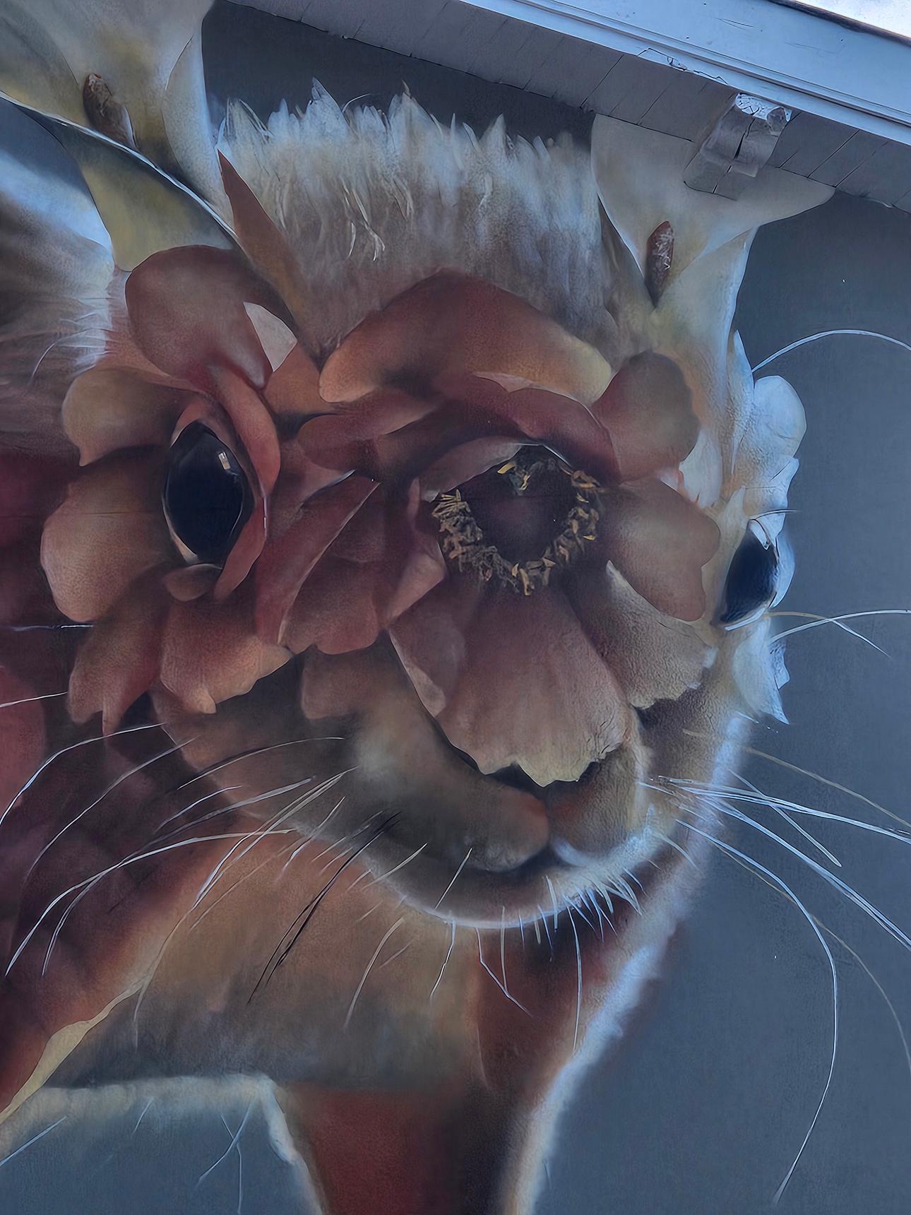 Curtis Hylton—undefined