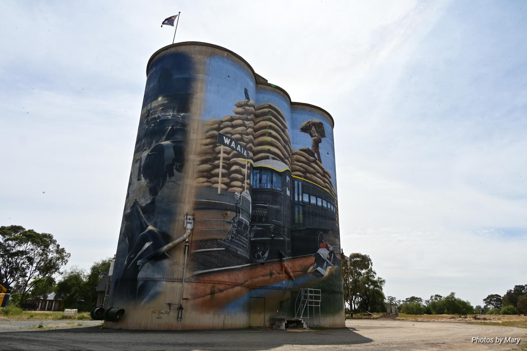 Tim Bowtell—Waaia Silo Art - Silo 2