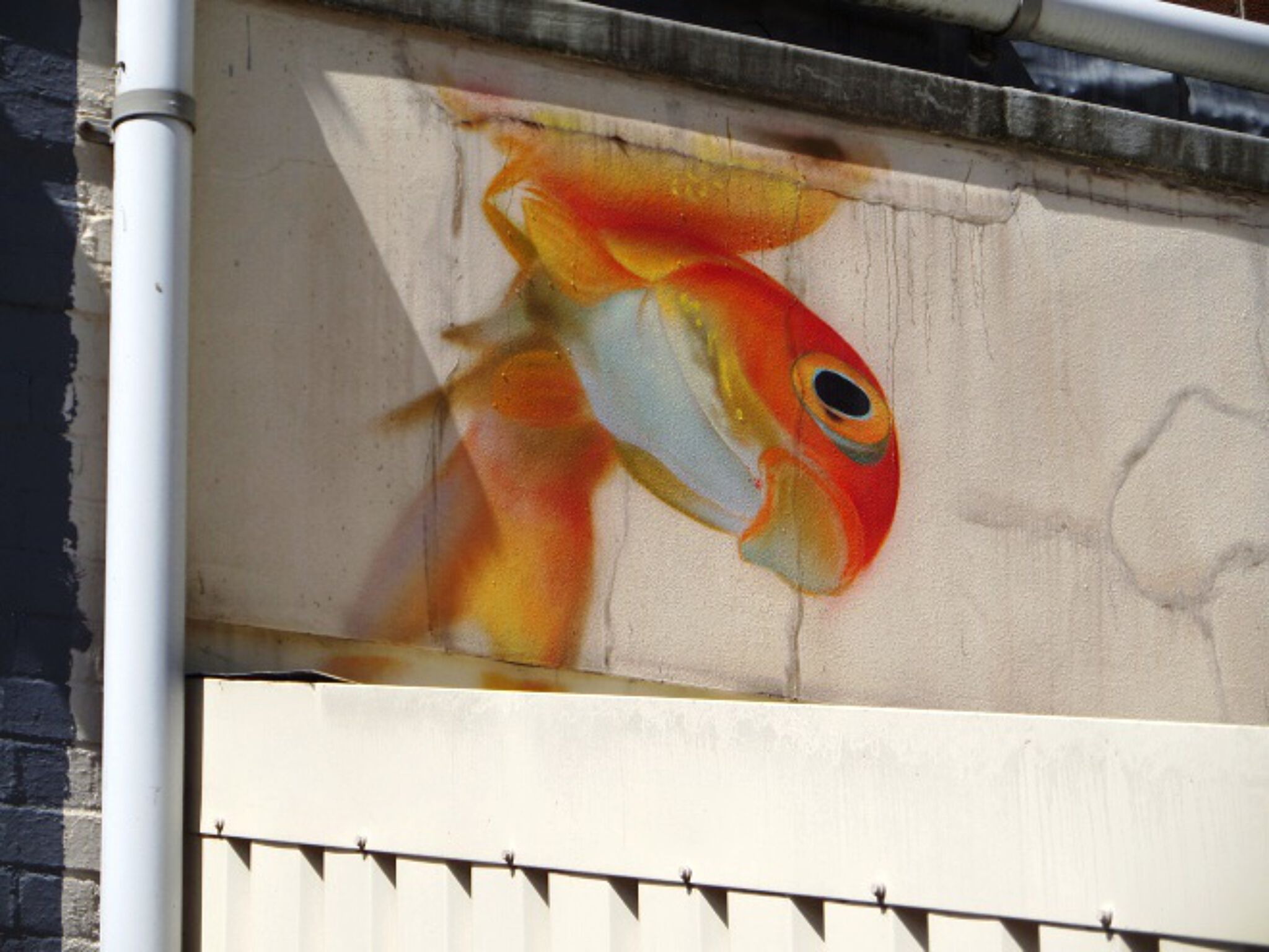 Unknown - Bristol&mdash;Goldfish