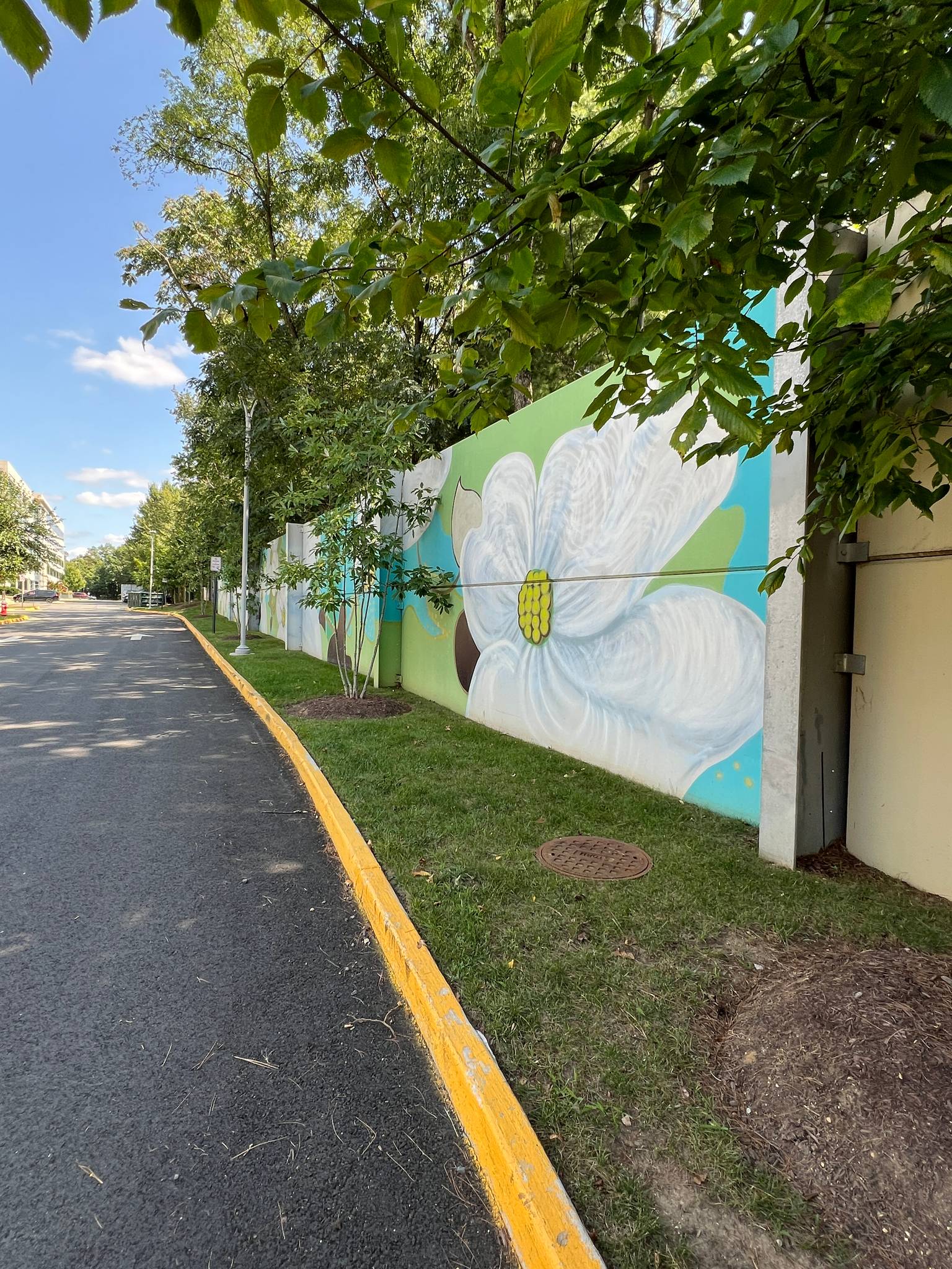 Hilary Siber&mdash;Faraday Park Mural