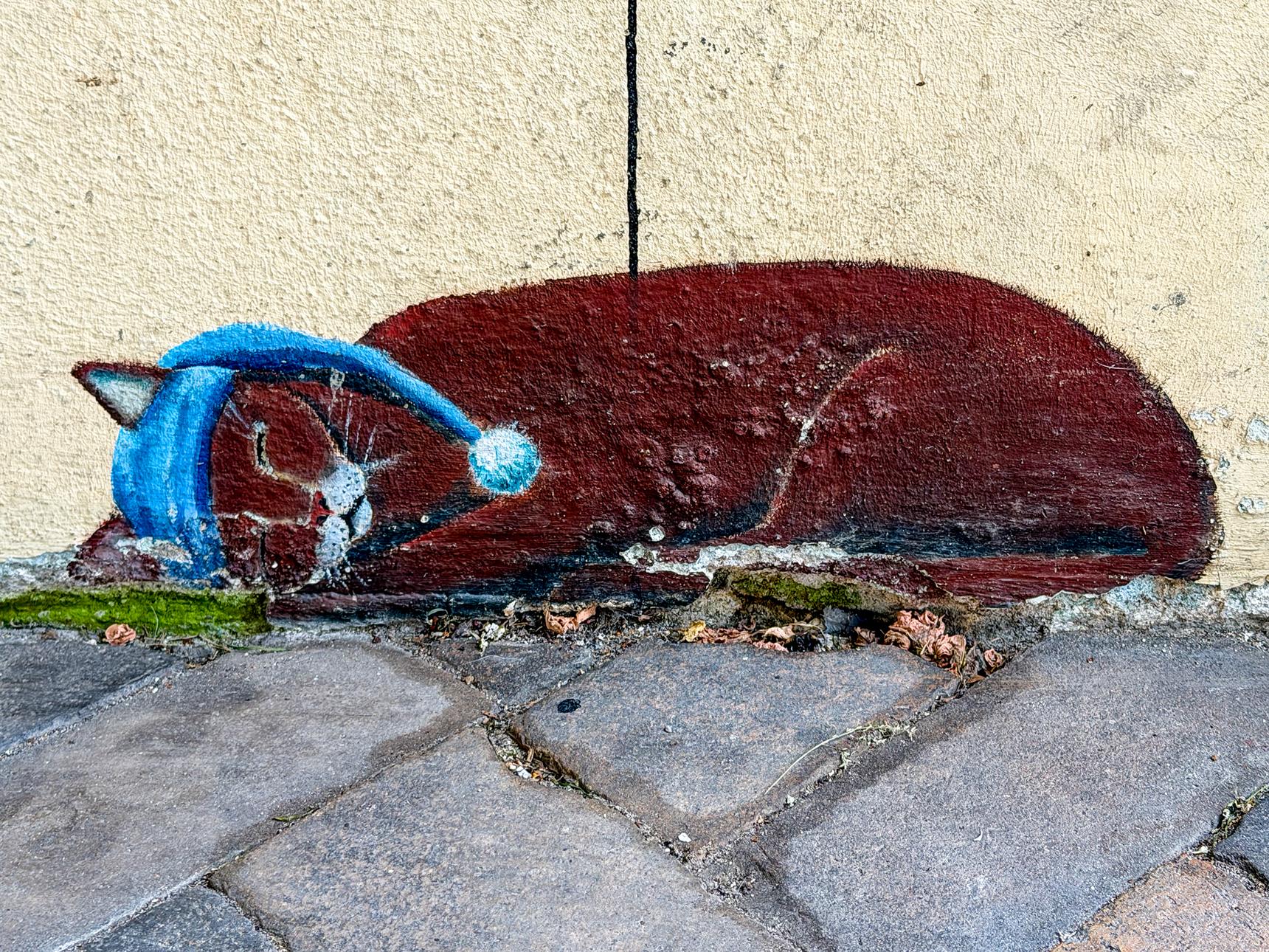 N.M.—Schlafende Katze
