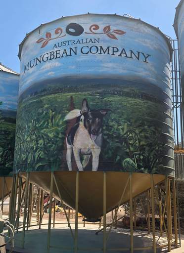 Feed item
