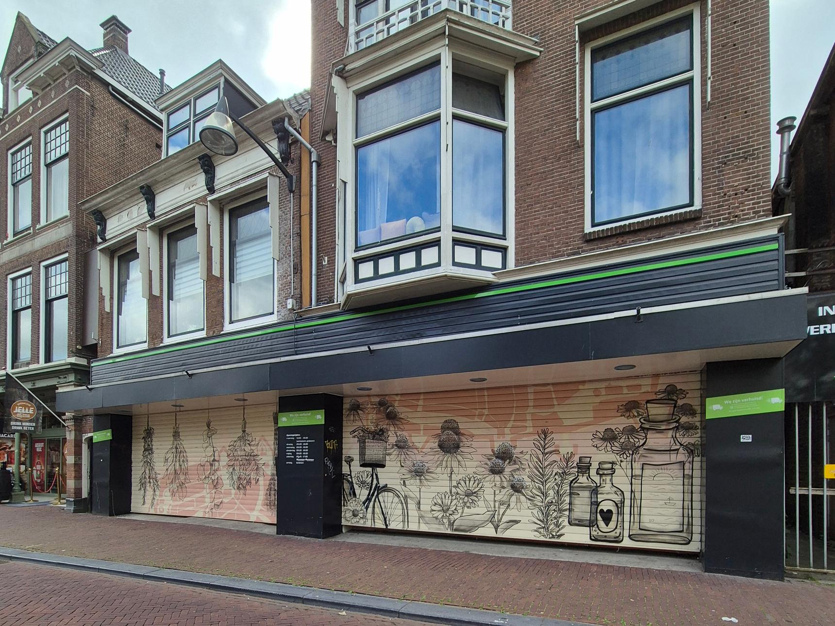 Loes van Reijmersdal—A Journey Through Gentle Roots