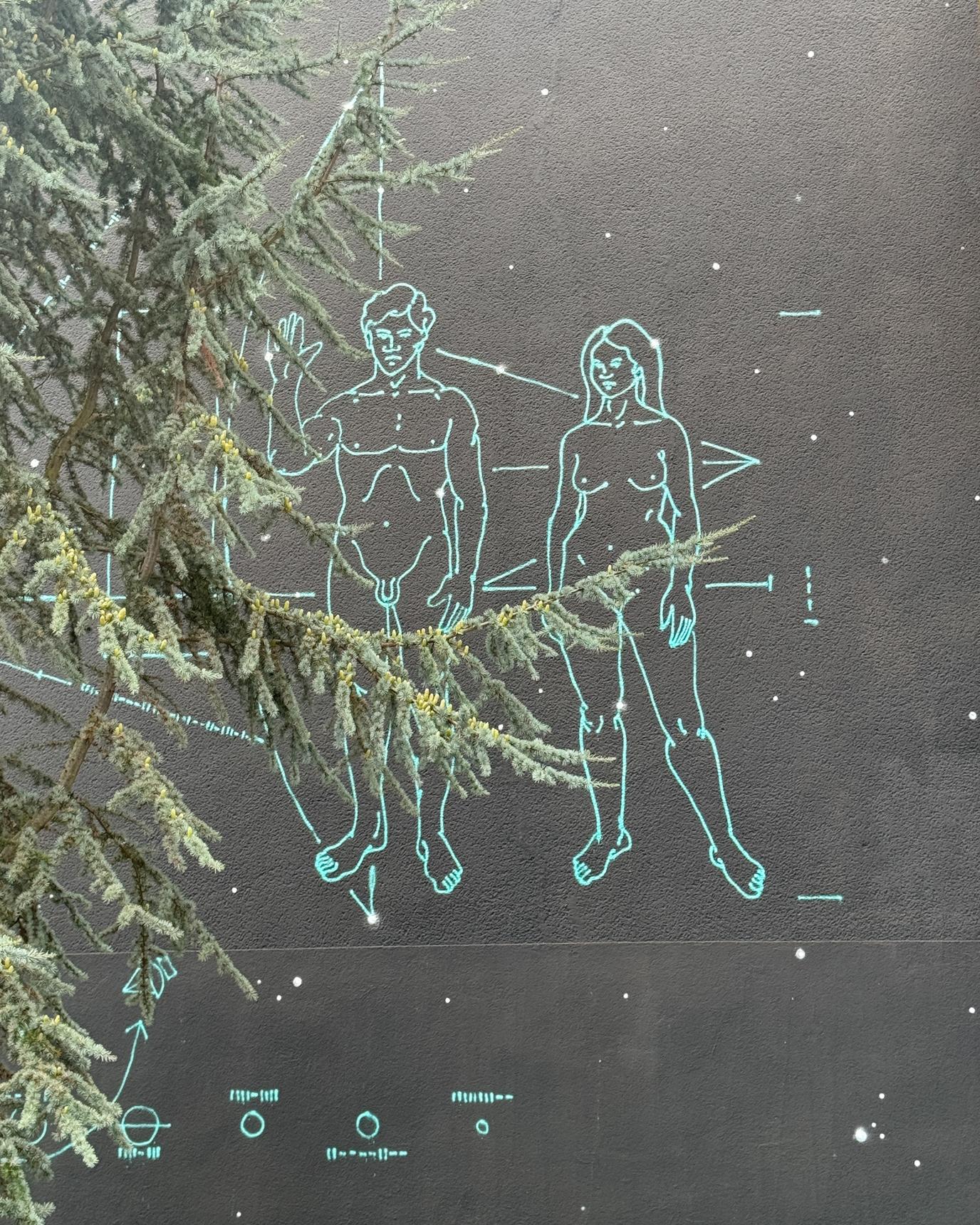 Michal Škapa a.k.a. TRON—undefined