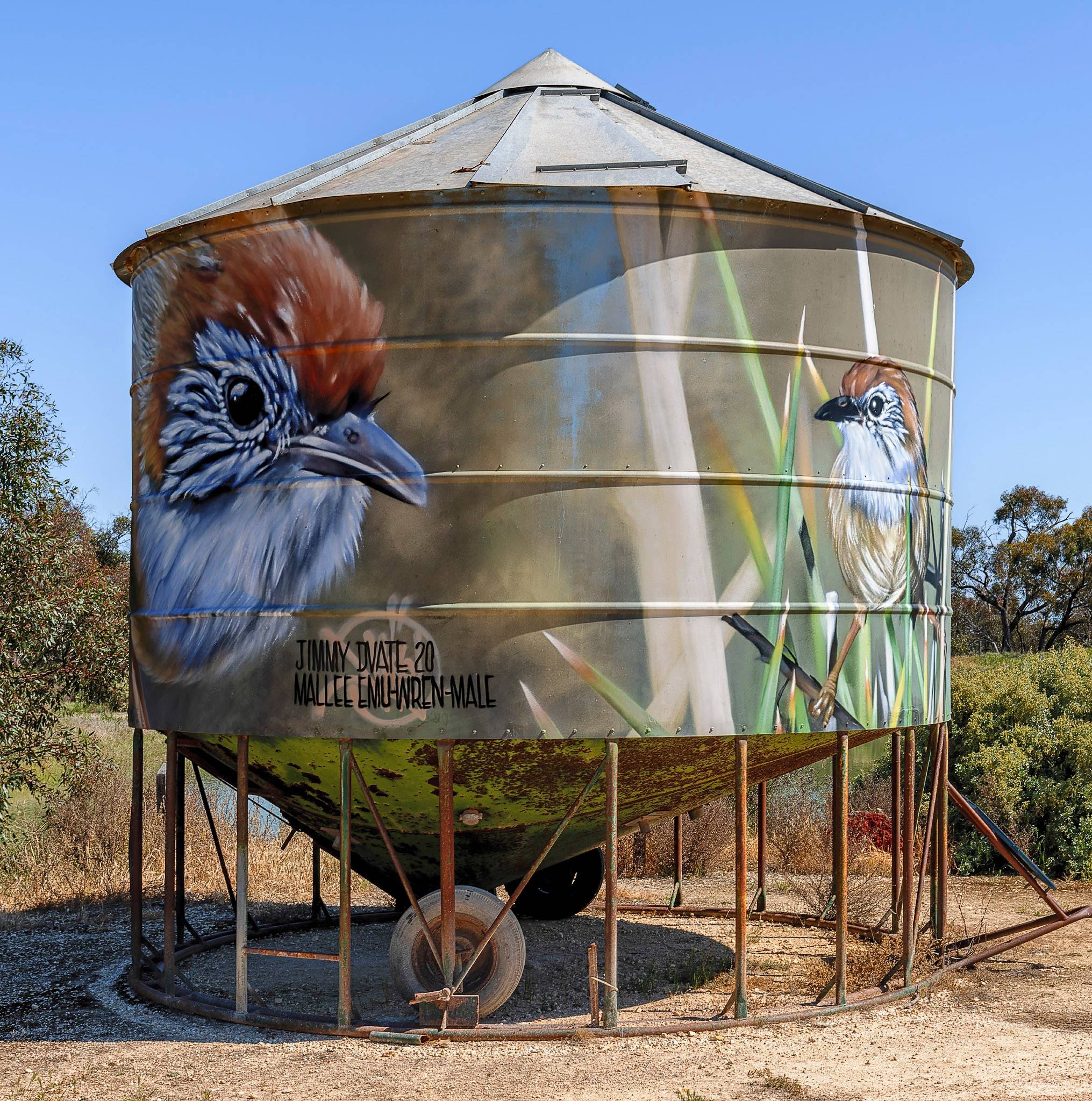 Dvate&mdash;Mallee Emu-Wren