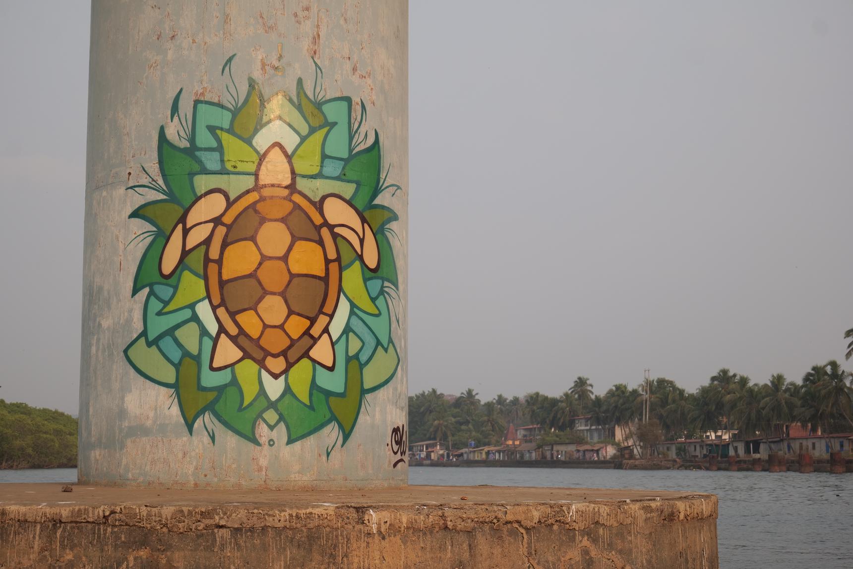 Wazow—Siolim Turtle