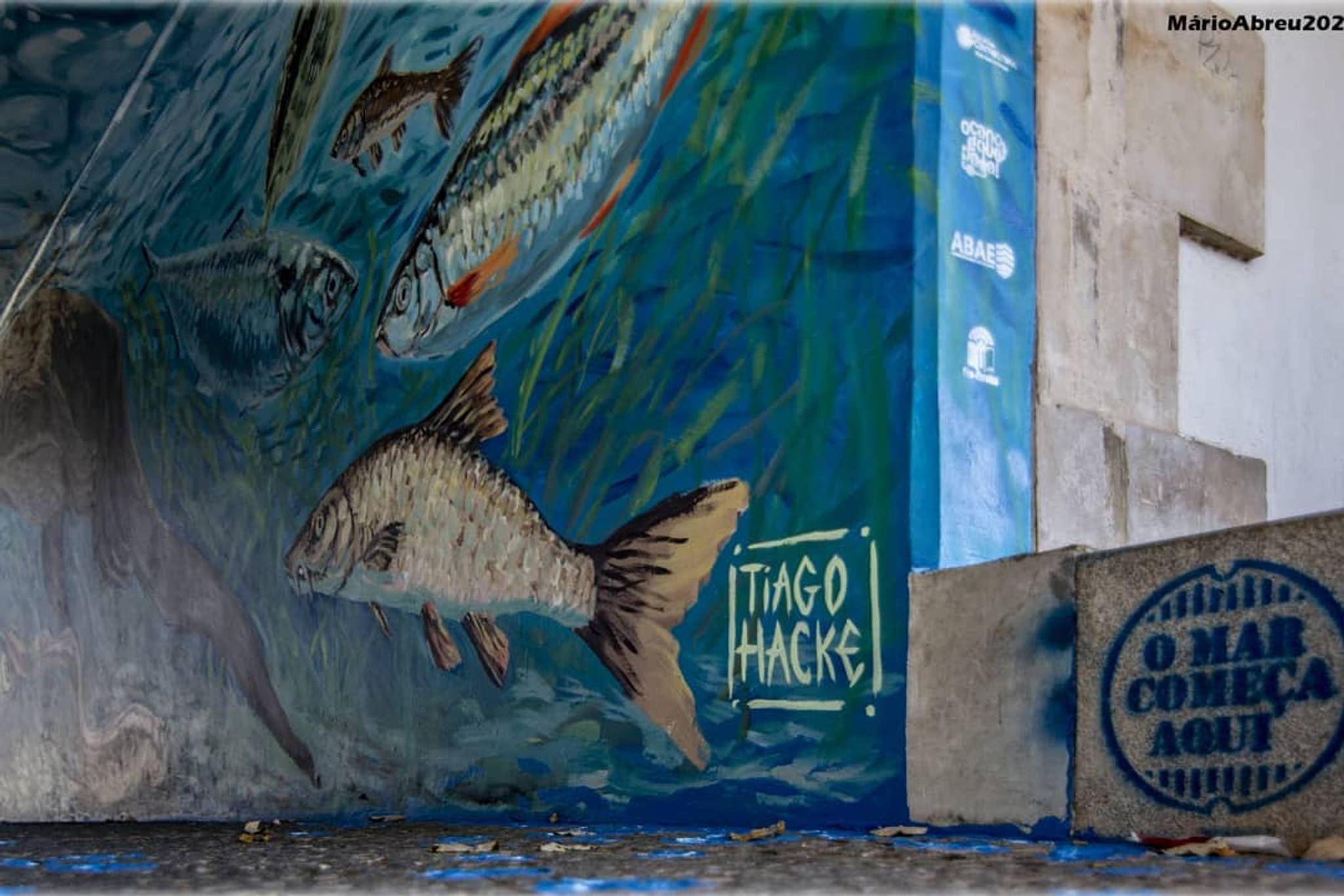 Tiago Hacke&mdash;The Aquarium of Águeda