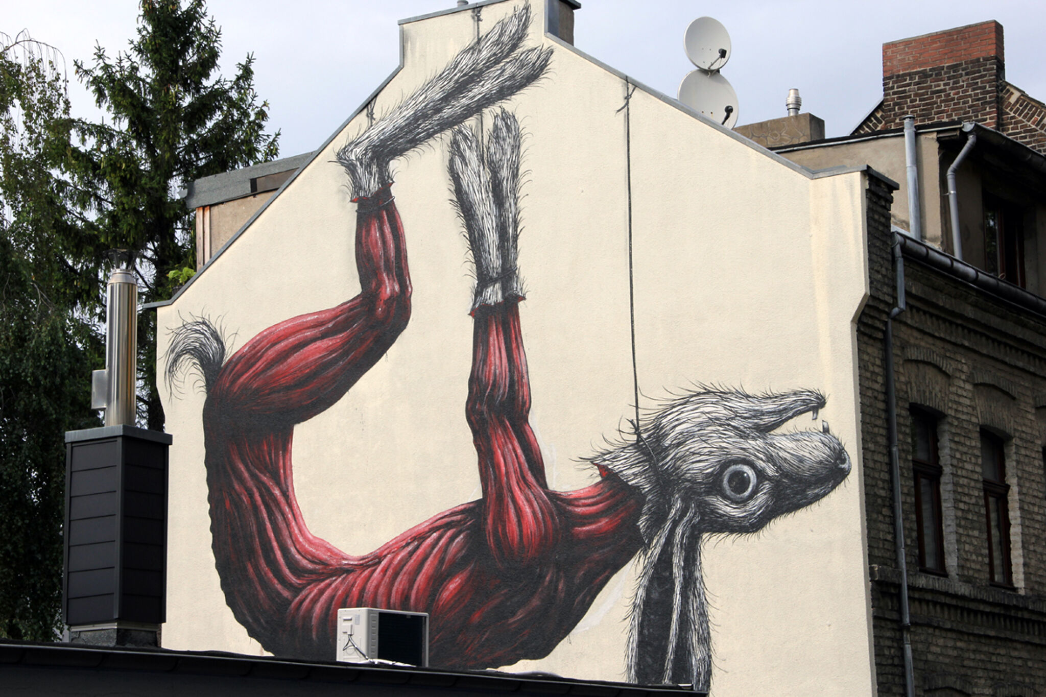 Roa&mdash;Hase