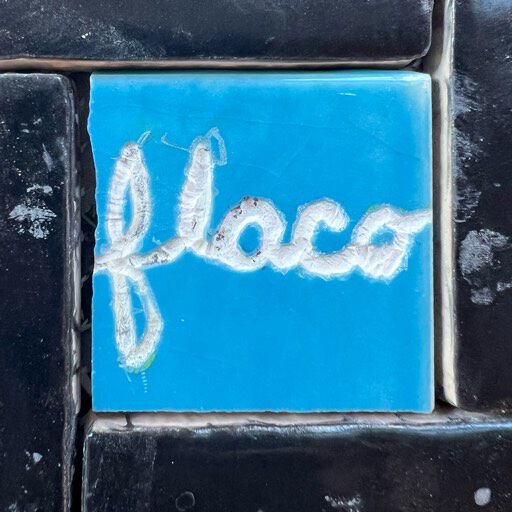 FLACO.mosaics