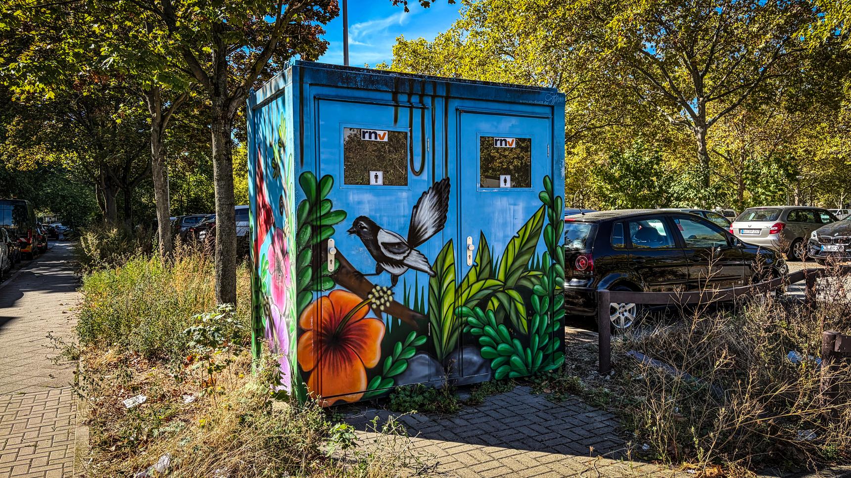Studio 68, Steffi (Steph) Peichal—undefined