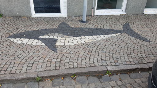 Killar whale cobblestone art