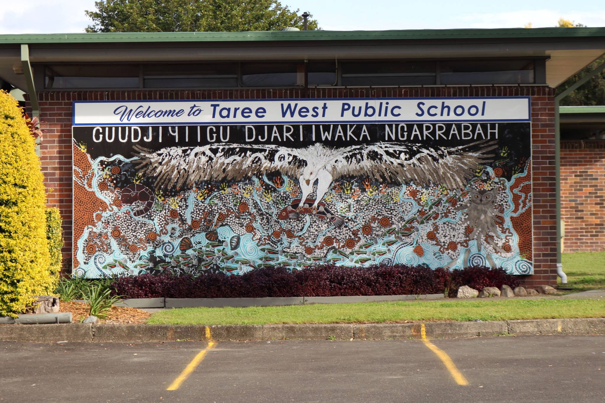 Joedie Davis Lawler&mdash;Welcome to Taree West Public School