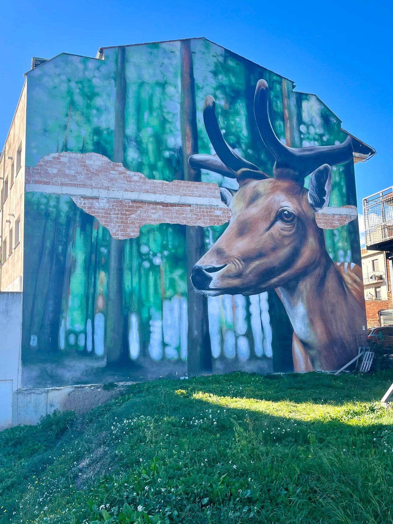 Xolaka—El Ciervo