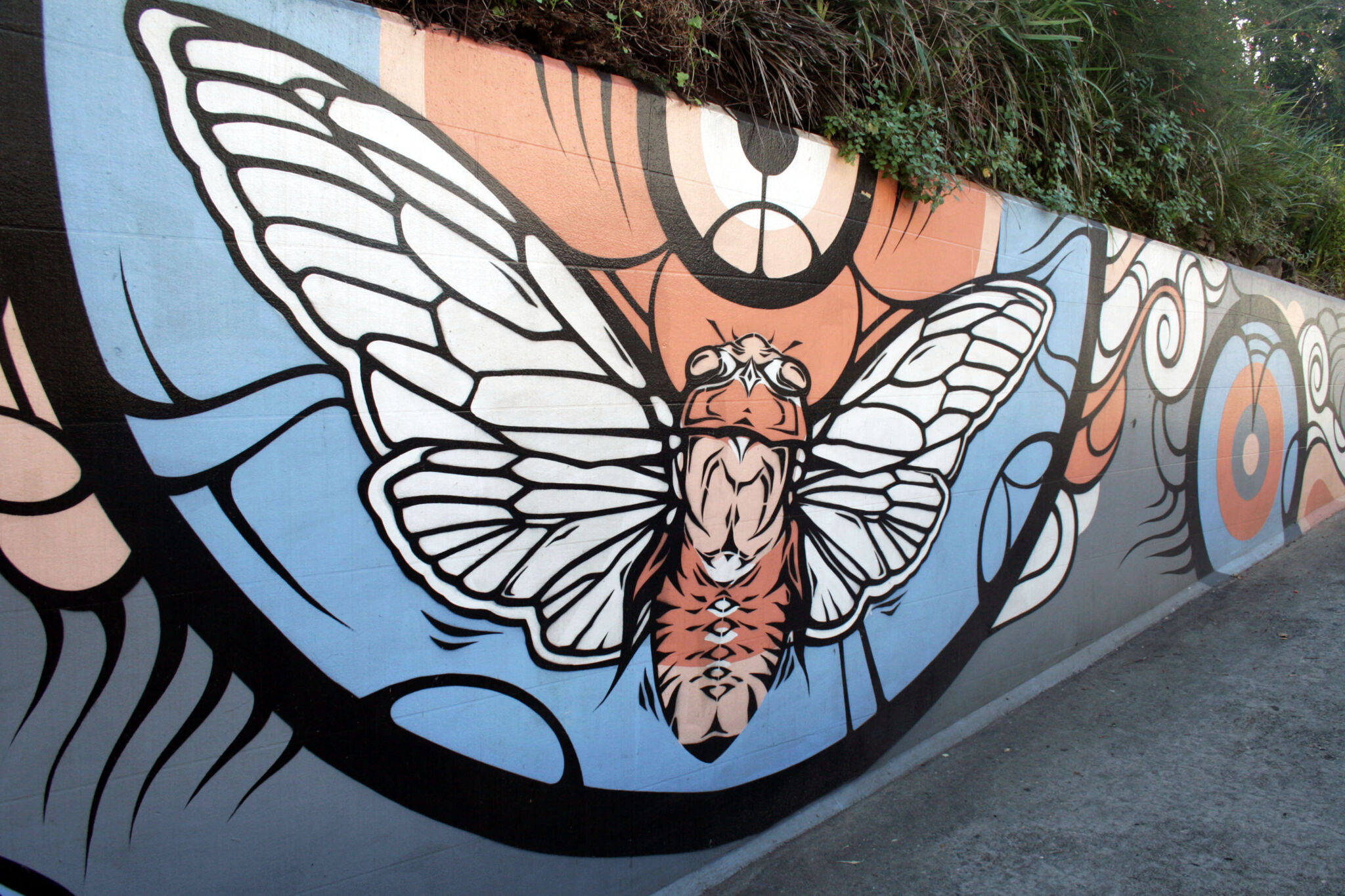 Phibs&mdash;Cronulla Tunnel Gallery