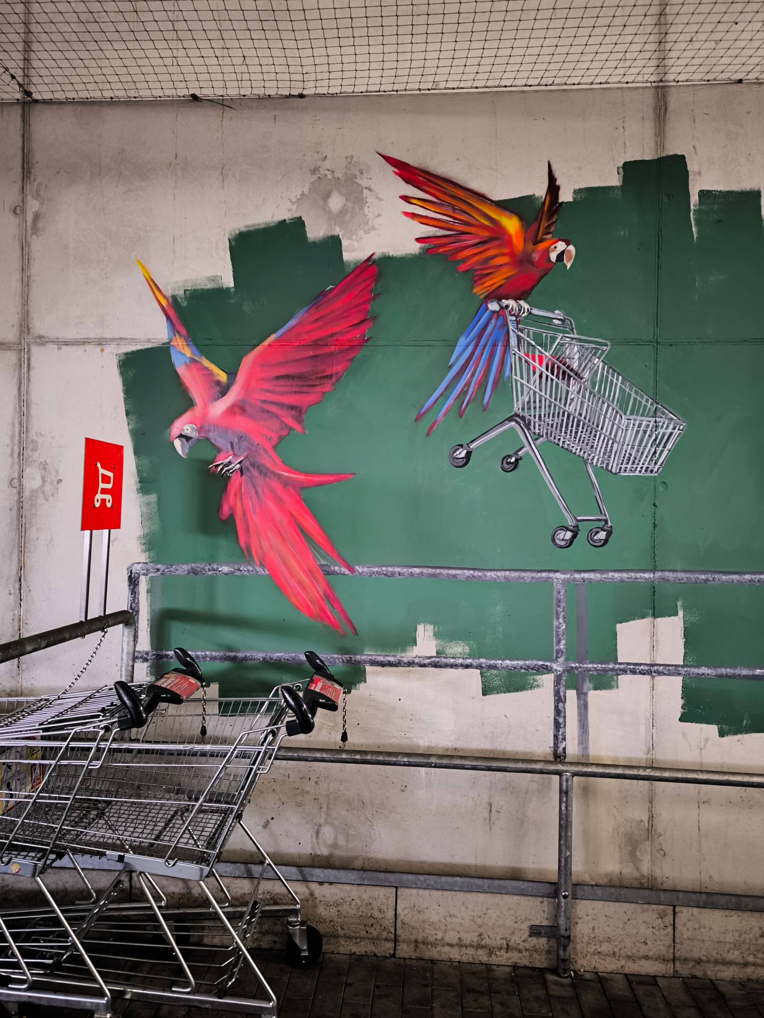 Laetitia Hildebrand (Laeti)&mdash;Parrot gang stealing shopping carts