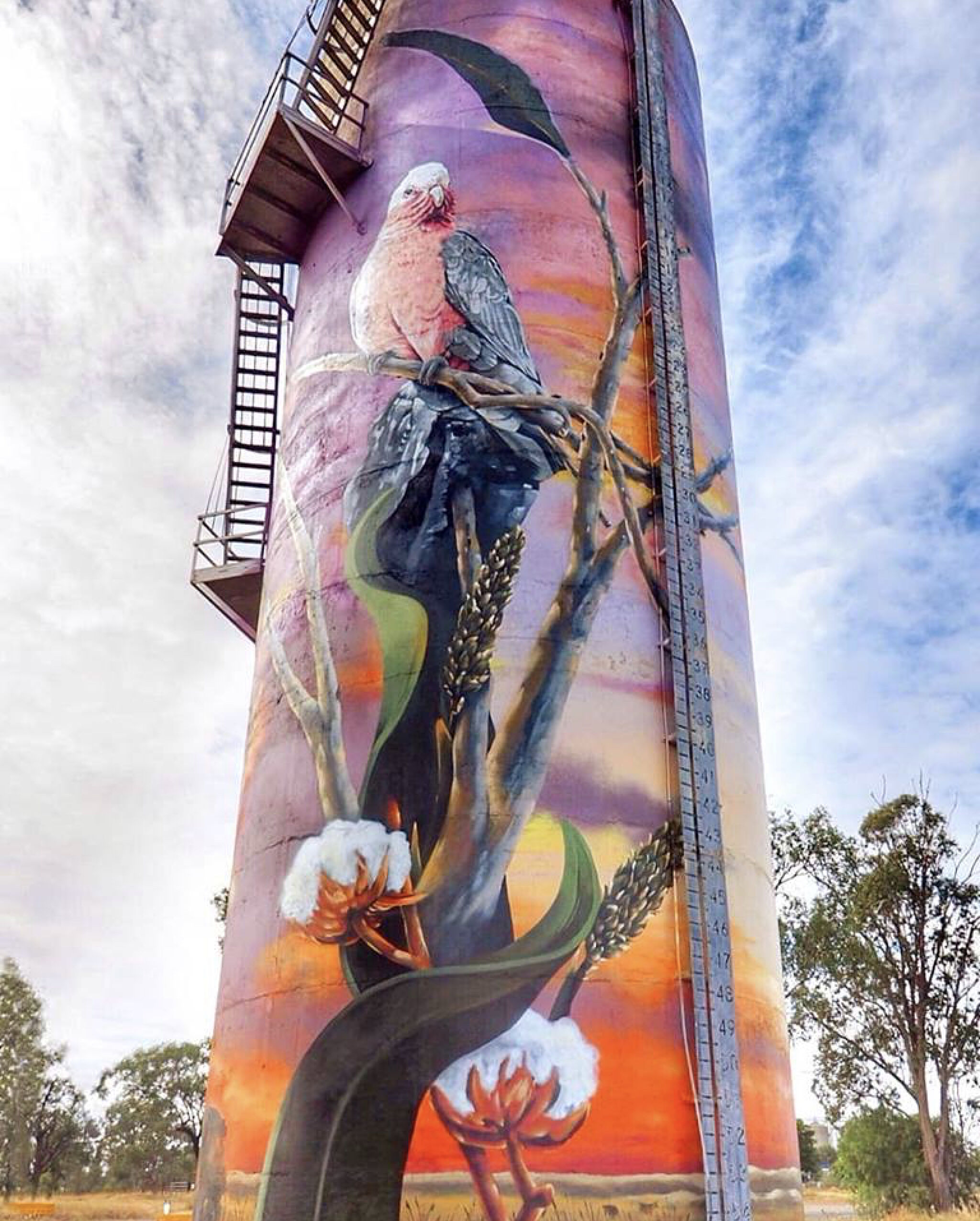 Australian Silo Art Trail, Sam Wilkinson, Leans&mdash;Moura Water Tower