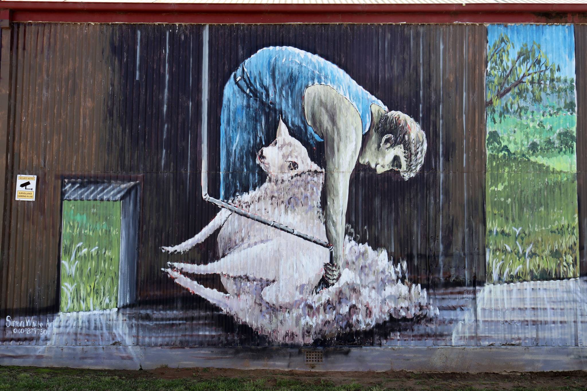 Simon White&mdash;Shearing Mural